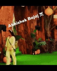 teamabhishek882 india big boss bigboss abhishek GIF