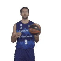 Liga Endesa Sport Sticker by ACB