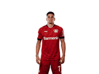 Bayer 04 Peace GIF by Bayer 04 Leverkusen