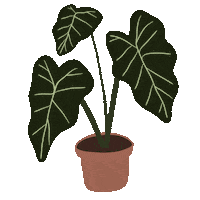 Plant Plantlover Sticker