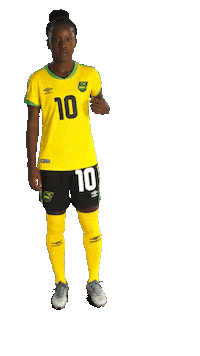 2019 Fifa Wwc Football Sticker by FIFA