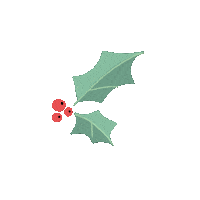 Christmas Holly Sticker by University of Warwick