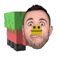 Face Wtf Sticker
