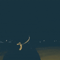 Sloan Canyon Pirates GIF by Pinecrest Sloan Canyon