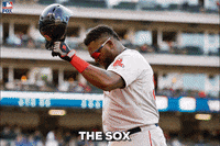 Major League Baseball Yes GIF by FOX Sports: Watch. Enjoy. Repeat.