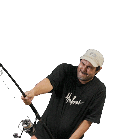 malosilures giphyupload fail bye fighting Sticker