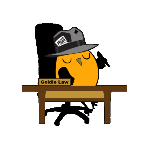 LincolnGoldfinchLaw giphygifmaker news justice law Sticker