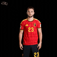 Fifa World Cup Uefa GIF by Respective