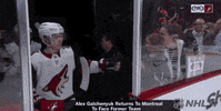 ice hockey sport GIF by NHL