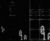 Mass Surveillance Privacy GIF by Nico Roxe