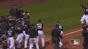 major league baseball sport GIF by MLB