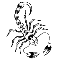 tttism tattoo scorpion tttism human hell Sticker