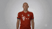 fc bayern football GIF by Bundesliga