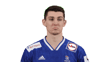 France Hand Sticker by EHF