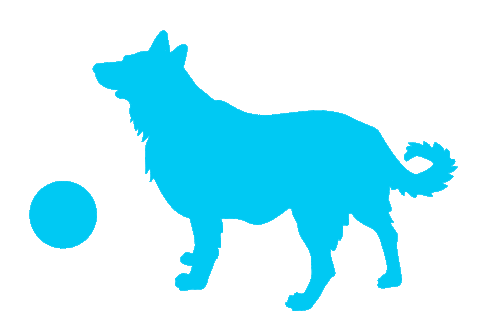 bkeBeratung giphyupload anonymous silhouette beratung Sticker