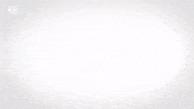 See Red Bull GIF by FC Red Bull Salzburg