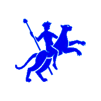 Nysadesign Sticker by NYSA