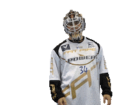 Floorball Salibandy Sticker by F-liiga