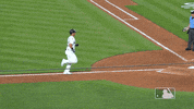 Celebrate Regular Season GIF by MLB