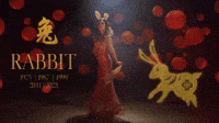 Rabbit