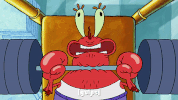 season 9 GIF by SpongeBob SquarePants