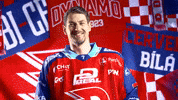 Tomas Dvorak GIF by HC Dynamo Pardubice