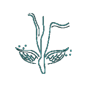 irdance giphygifmaker Irds irdance ir dance Sticker