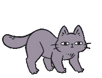 Cat Dancingcat Sticker