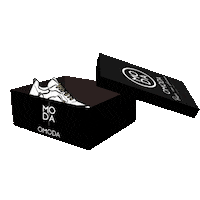 Shoes Delivery Sticker by Omoda