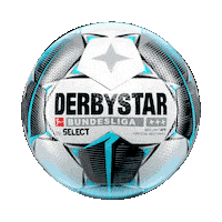 Football Soccer Sticker by Bundesliga