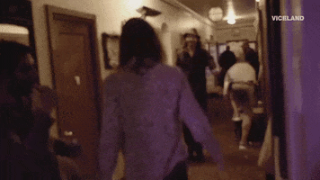 viceland GIF by FLOPHOUSE