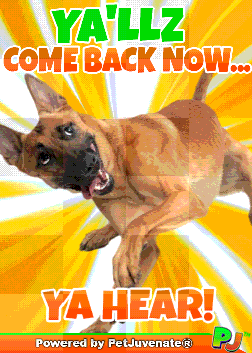 PetJuvenate petjuvenate henlo hooman fren love rescue dogs treatos and woofer for pupper GIF