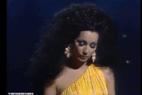 sonny and cher 70s GIF
