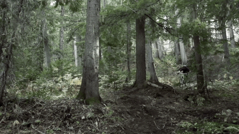 builder GIF by EchoBoom Sports