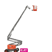 SwiftNZ swift Sticker