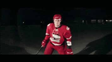 brendan woods fight GIF by Charlotte Checkers