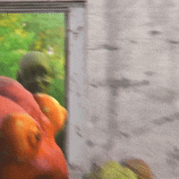 Happy Whats Up GIF by La Guarimba Film Festival