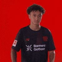 I Love You Bundesliga GIF by Bayer 04 Leverkusen