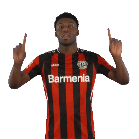 Swipe Up Sticker by Bayer 04 Leverkusen