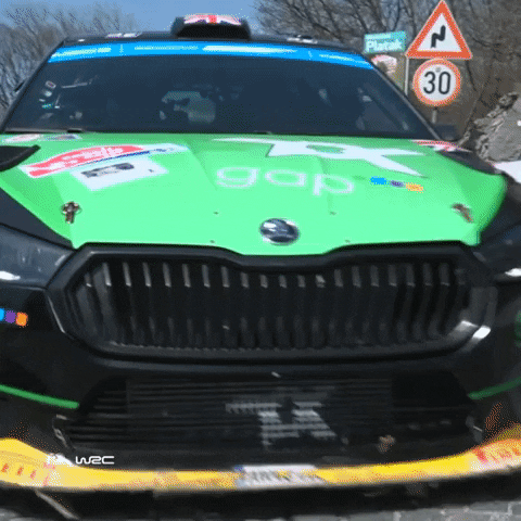 Fail Ford GIF by FIA World Rally Championship