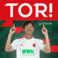 Celebration Goal GIF by FC Augsburg 1907