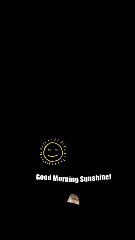 margomillurephotography giphyattribution good morning sunshine GIF