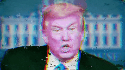 Donald Trump Glitch GIF