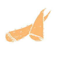 Aloe Vera Orange Sticker by Elfy Naturals