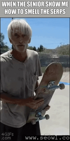 seowl_app seo seowl GIF