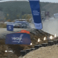 Jump GIF by FIA World Rally Championship