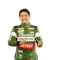 Suzuki Stockcar Sticker by Stock Car Brasil