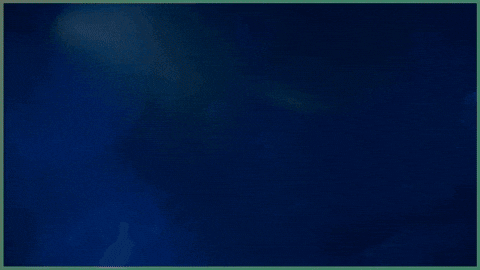 Beard Care GIF by THE BEARD STRUGGLE