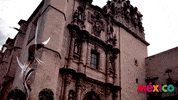 VisitMexico travel turismo tourism viajes GIF