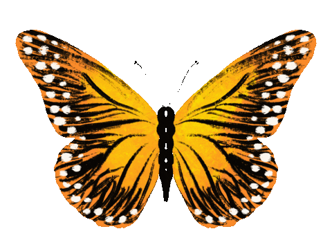 Butterfly Sticker by Ilana Moas